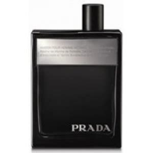 prada amber basenotes